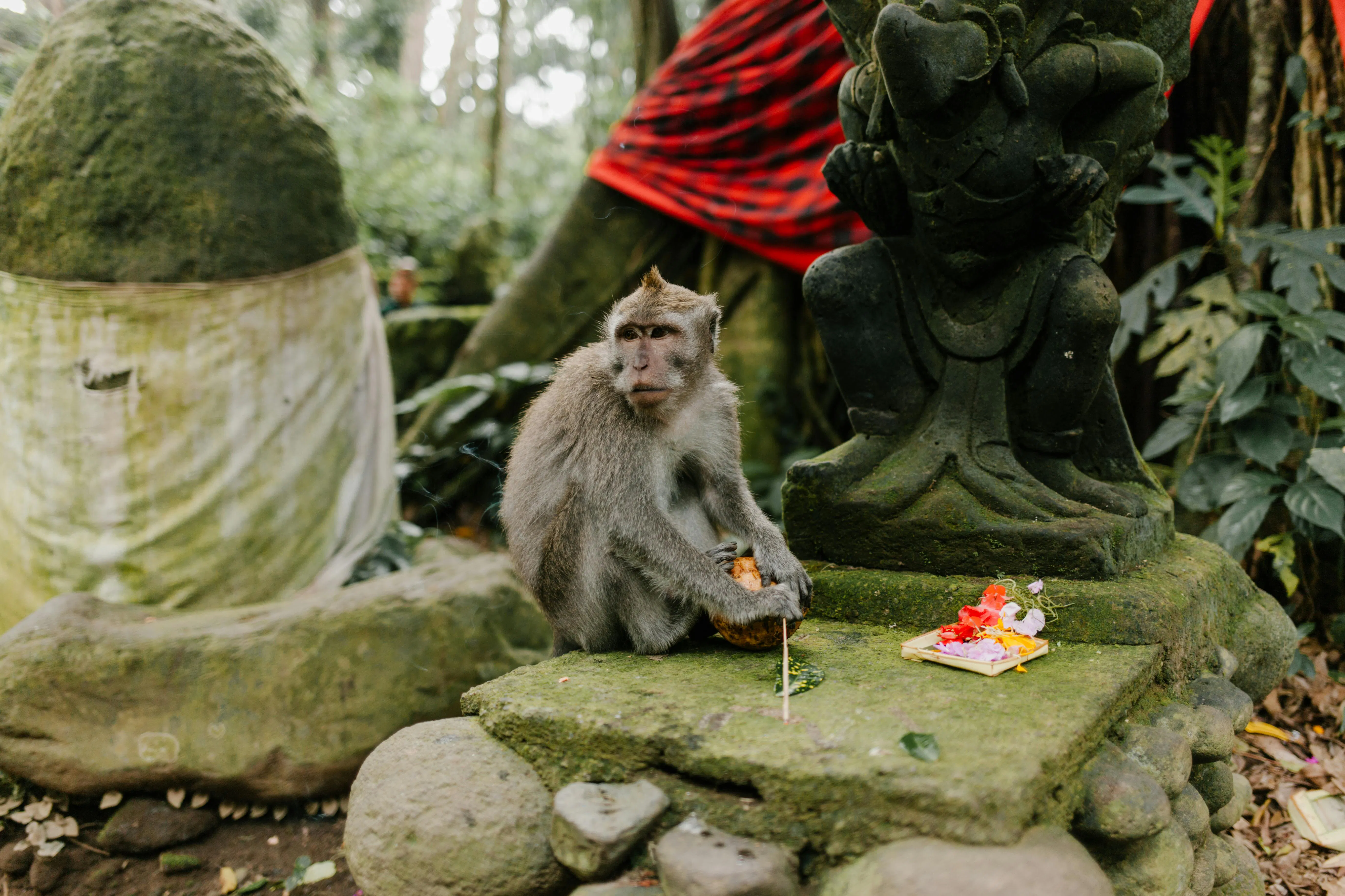 Visit the Sacred Monkey Forest Sanctuary